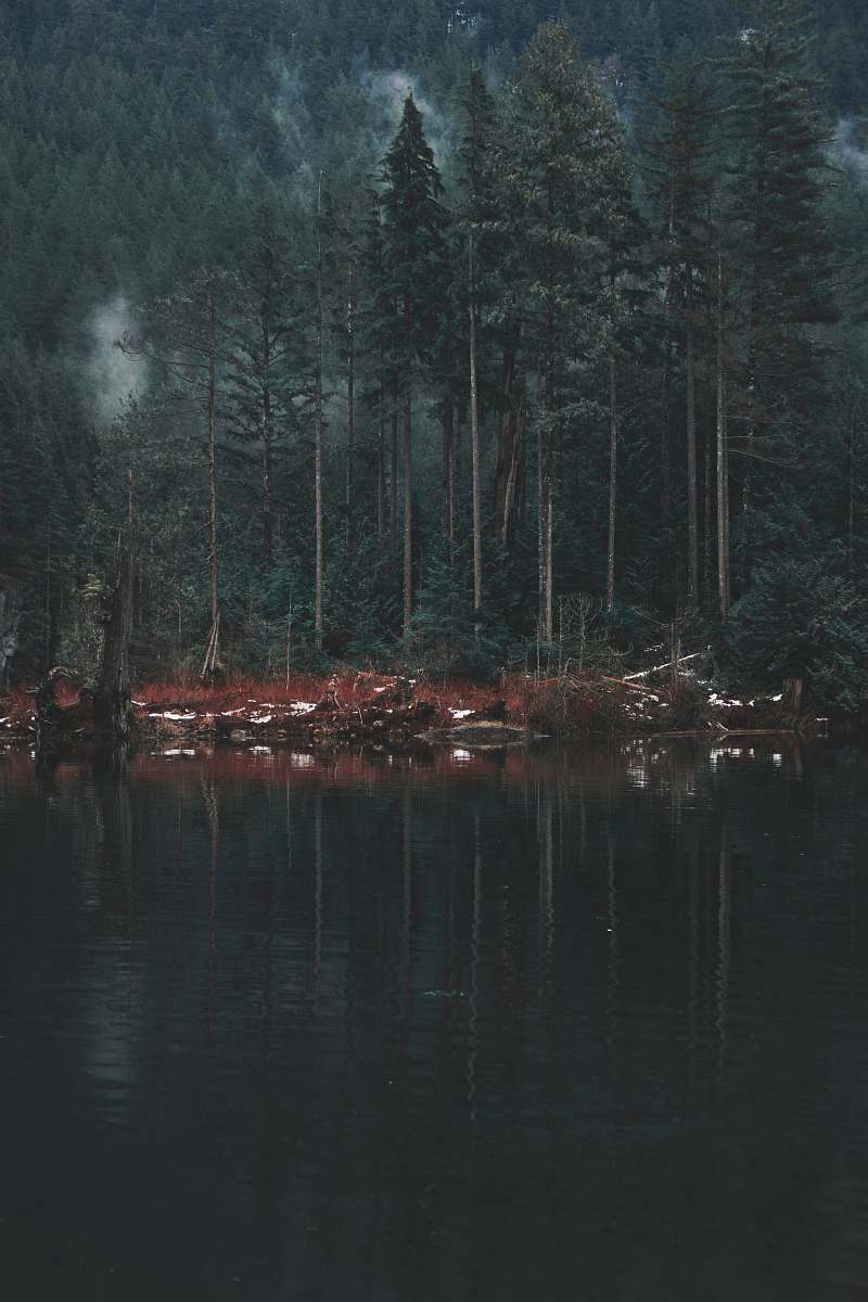 landscape photographer forest and lake during daytime in landscape photography outdoor adventure